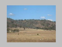 DSCN6731near51_panorama 8 towards SE_crater rim.JPG